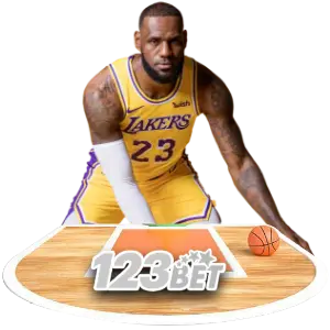 basketball sports